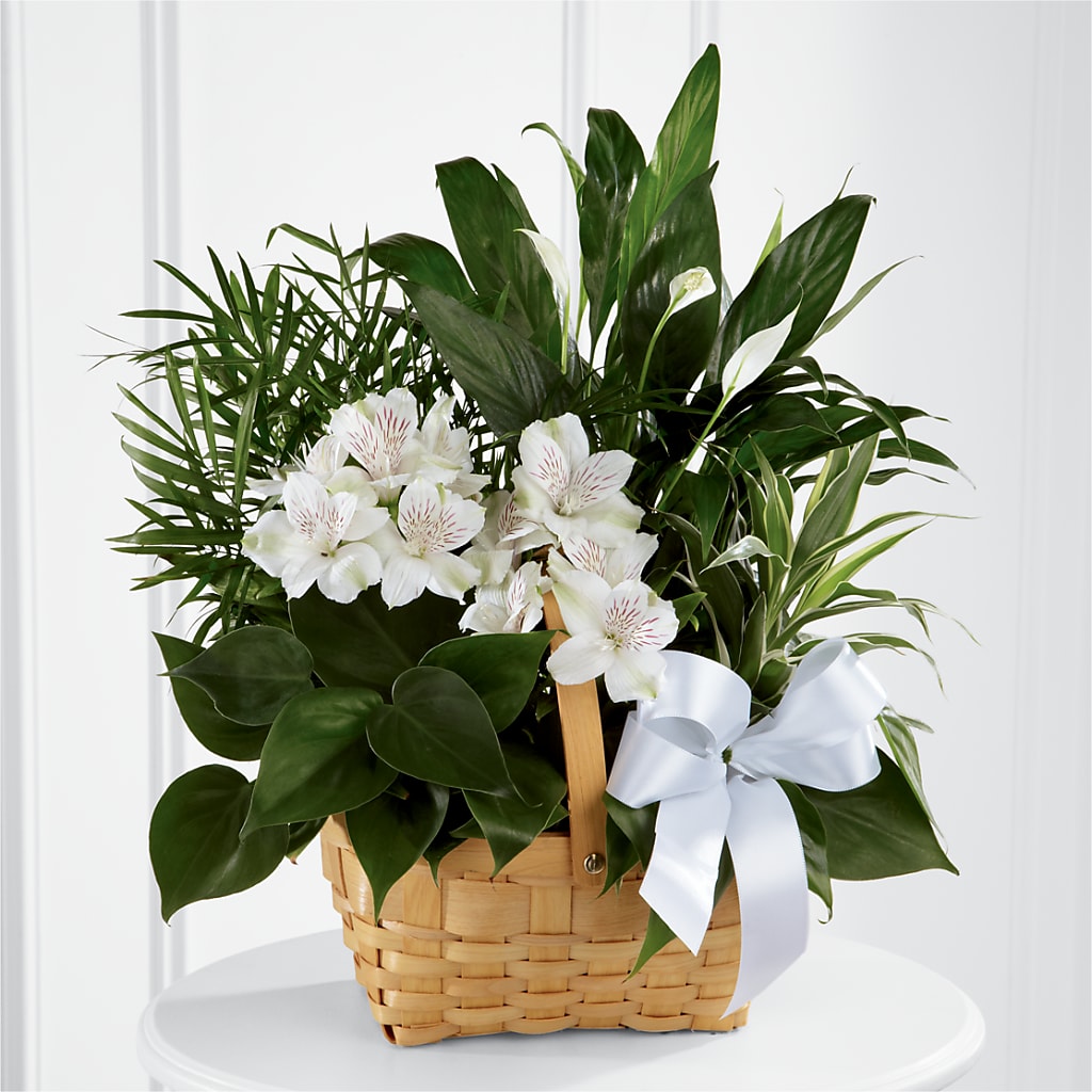 Peace & Serenity Dishgarden – Lovely Flowers And Gifts, Islip Terrace NY