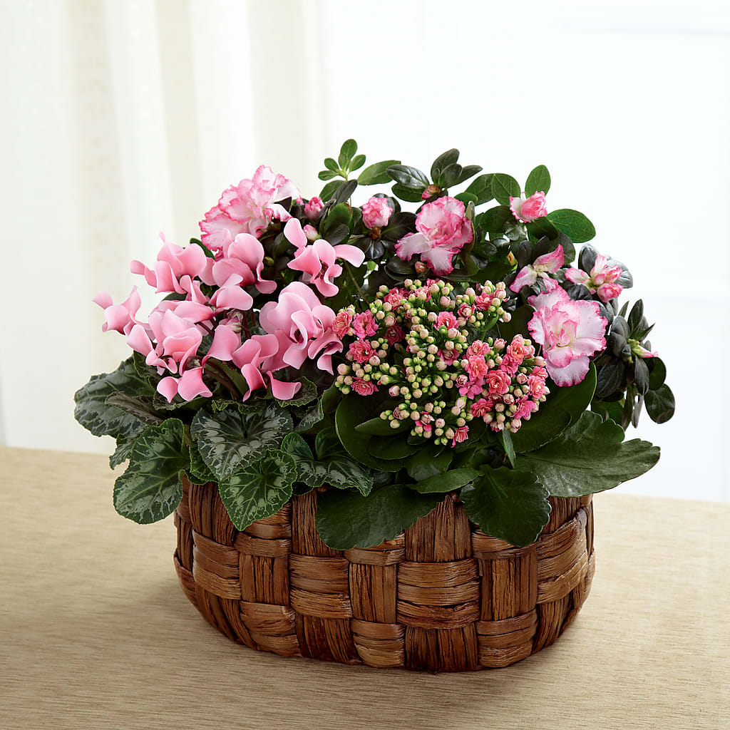 Pink Assortment – Lovely Flowers And Gifts, Islip Terrace NY