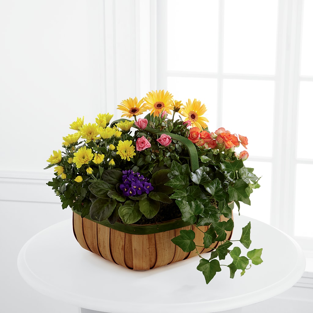 Gentle Blossoms Basket – Lovely Flowers And Gifts, Islip Terrace NY