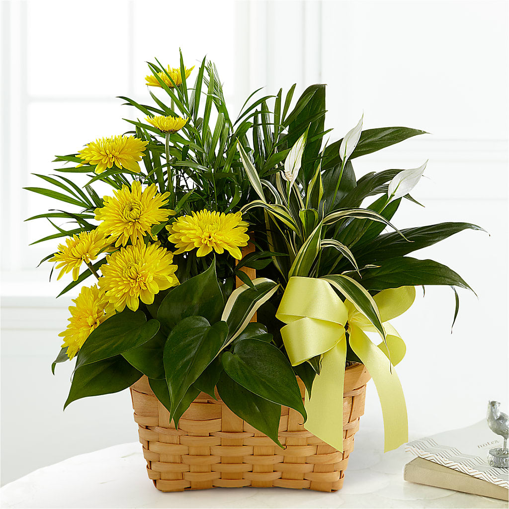 Loving Light Dishgarden – Lovely Flowers And Gifts, Islip Terrace NY