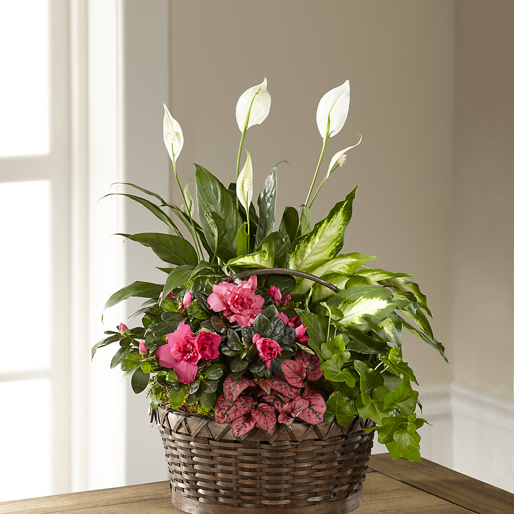 Dream in Pink Dishgarden – Lovely Flowers And Gifts, Islip Terrace NY