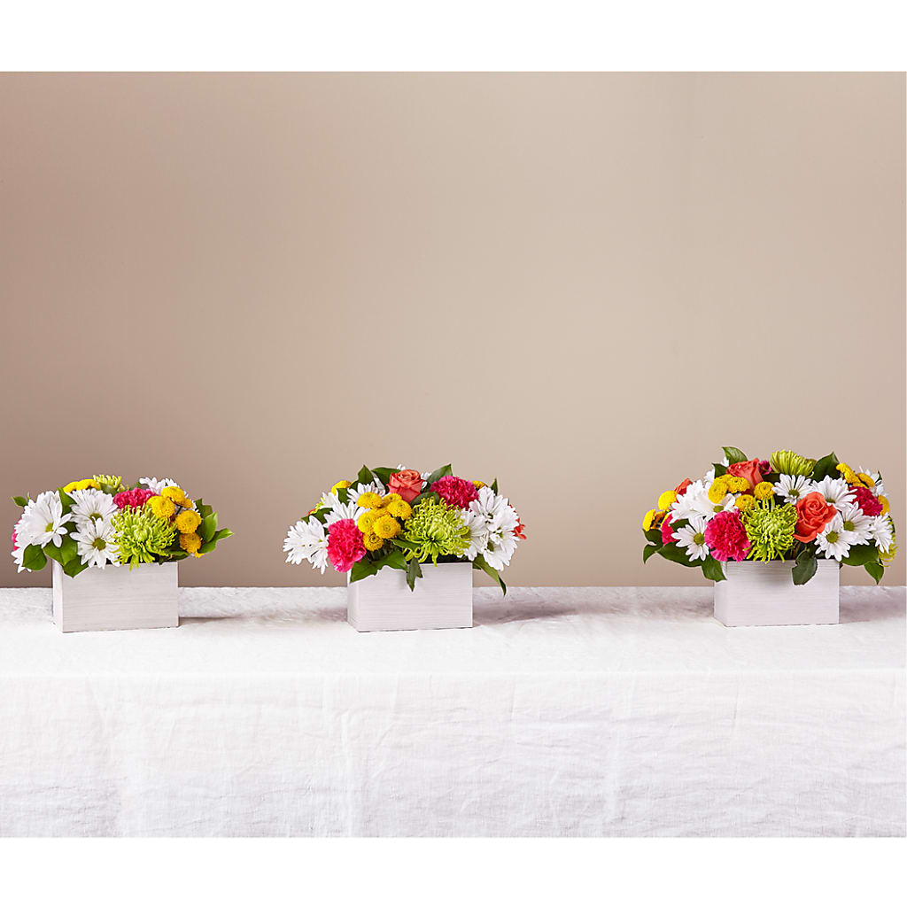 Sorbet Bouquet – Lovely Flowers And Gifts, Islip Terrace NY