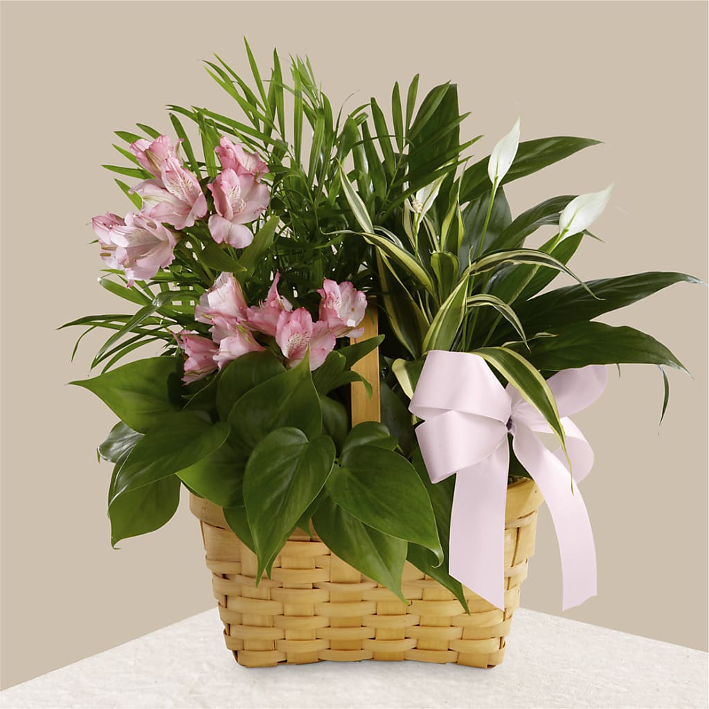 Living Spirit Dishgarden – Lovely Flowers And Gifts, Islip Terrace NY