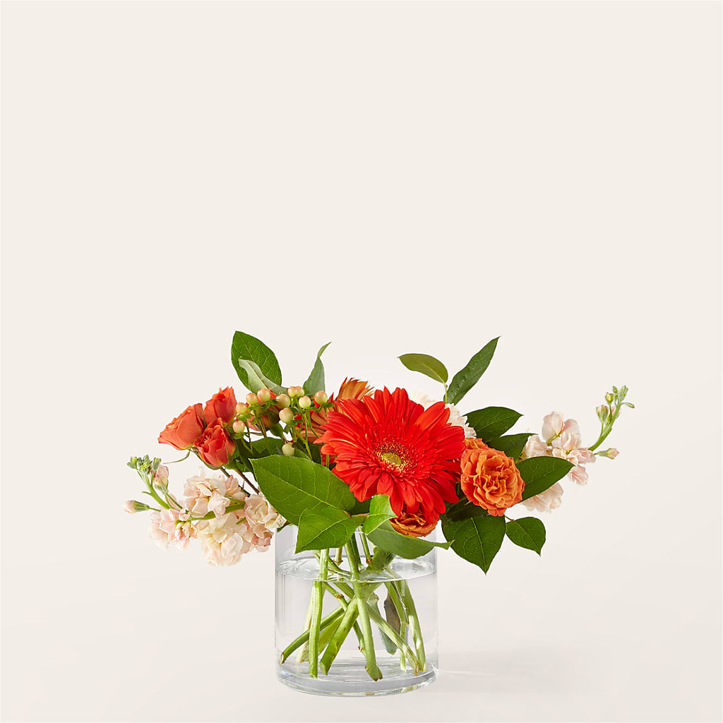 Paloma Please Bouquet – Lovely Flowers And Gifts, Islip Terrace NY