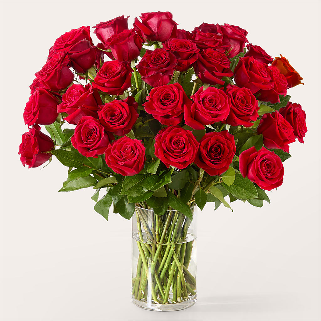 The One Red Rose Bouquet – Lovely Flowers And Gifts, Islip Terrace NY