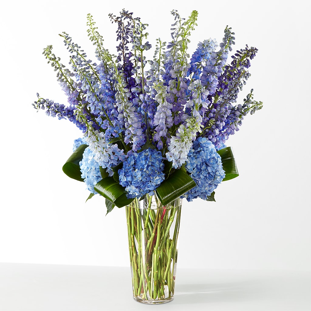The Editorial – Lovely Flowers And Gifts, Islip Terrace NY