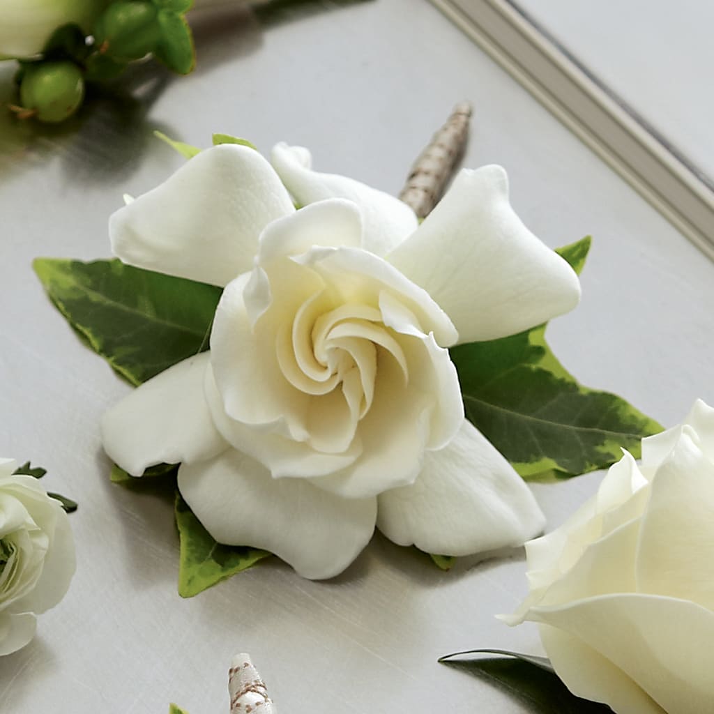 Gardenia Boutonniere – Lovely Flowers And Gifts, Islip Terrace NY