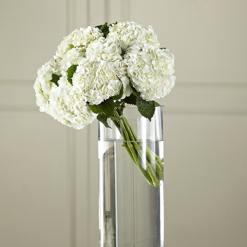 White Hydrangea Hand-Tied Bouquet – Lovely Flowers And Gifts, Islip Terrace NY