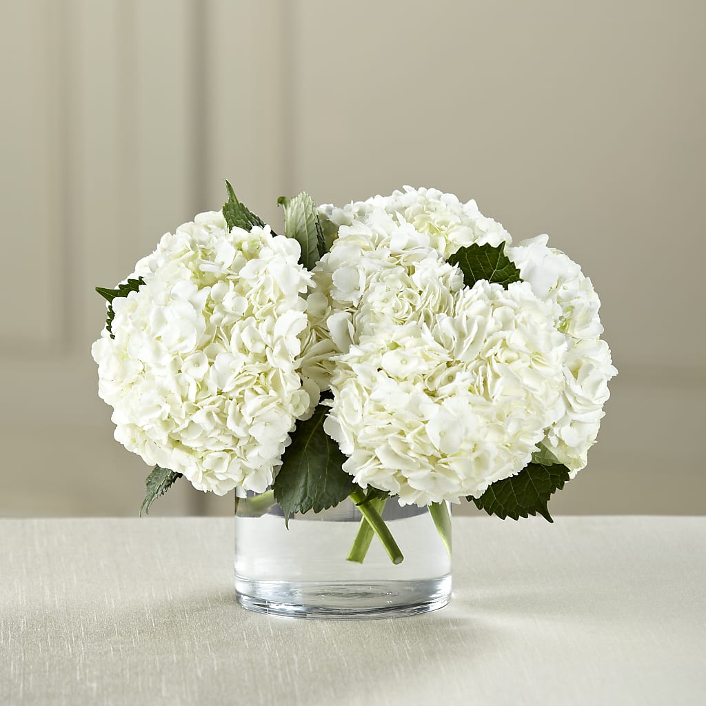 White Hydrangea Bouquet – Lovely Flowers And Gifts, Islip Terrace NY