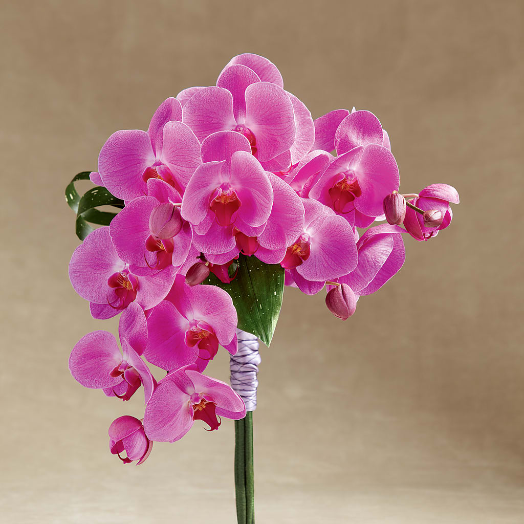 Glorious Bouquet – Lovely Flowers And Gifts, Islip Terrace NY