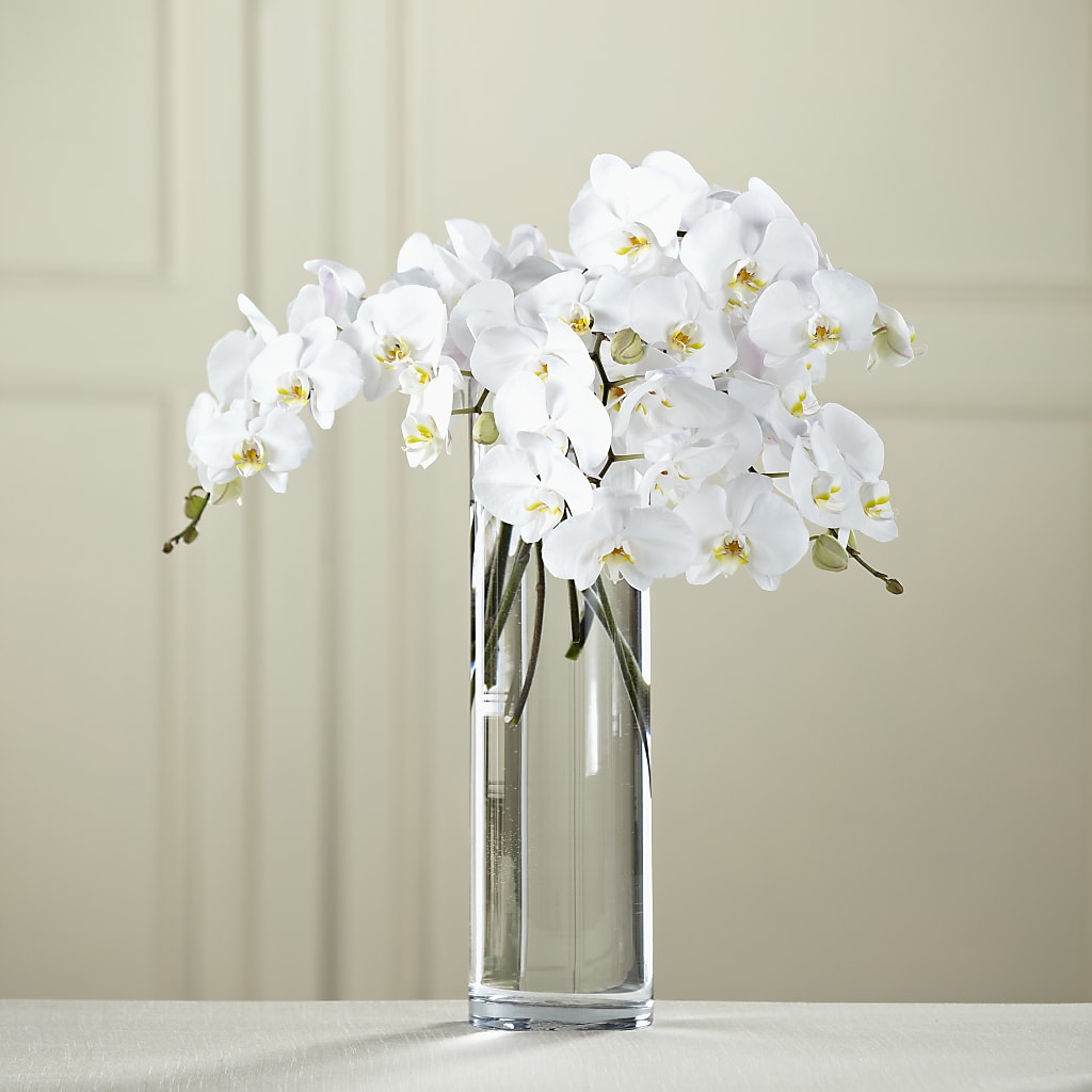 White Phalaenopsis Bouquet – Lovely Flowers And Gifts, Islip Terrace NY