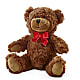 Adorable Plush Bear –  Lovely Flowers And Gifts, Islip Terrace NY