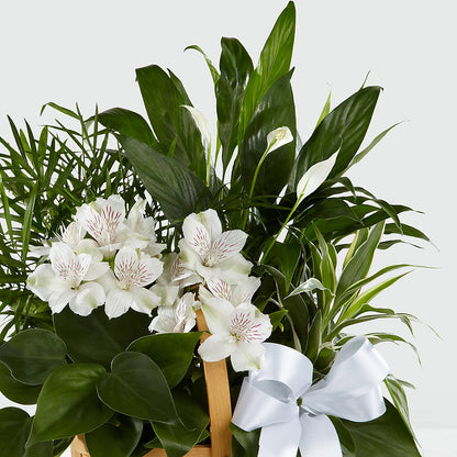 Peace & Serenity Dishgarden –  Lovely Flowers And Gifts, Islip Terrace NY