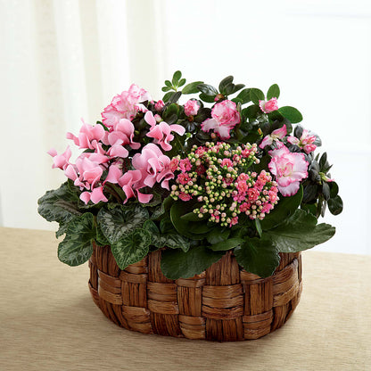 Pink Assortment –  Lovely Flowers And Gifts, Islip Terrace NY