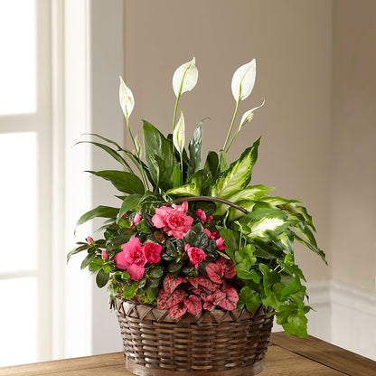 Dream in Pink Dishgarden –  Lovely Flowers And Gifts, Islip Terrace NY
