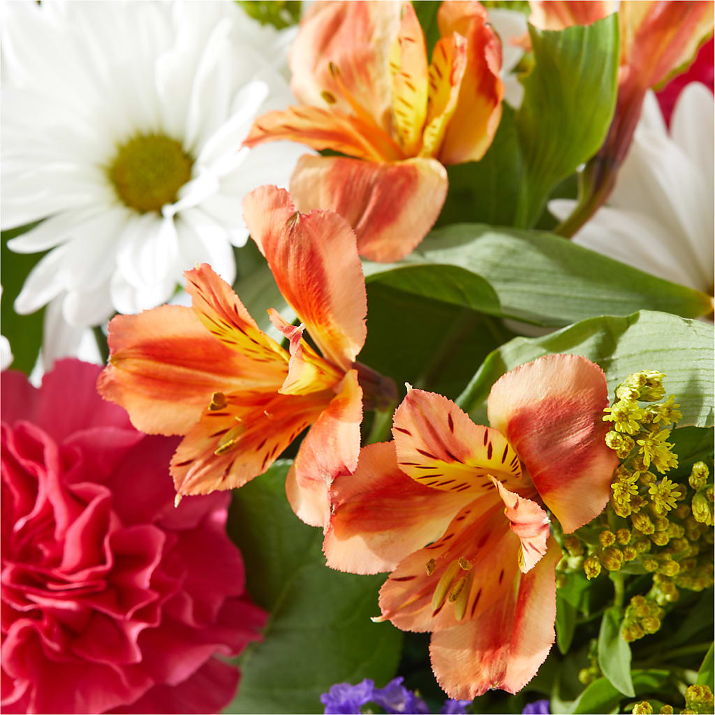 Oopsie Daisy Box Bouquet –  Lovely Flowers And Gifts, Islip Terrace NY
