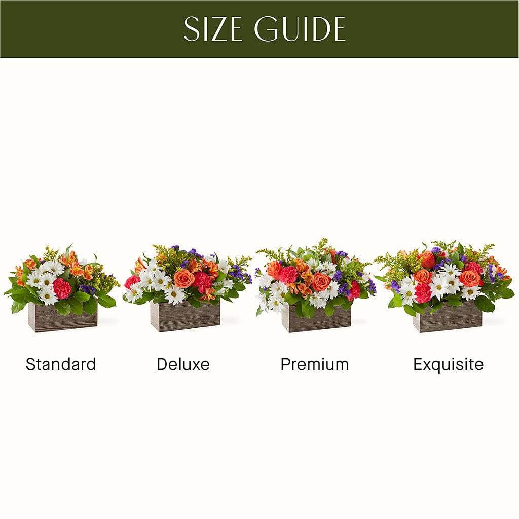 Oopsie Daisy Box Bouquet –  Lovely Flowers And Gifts, Islip Terrace NY
