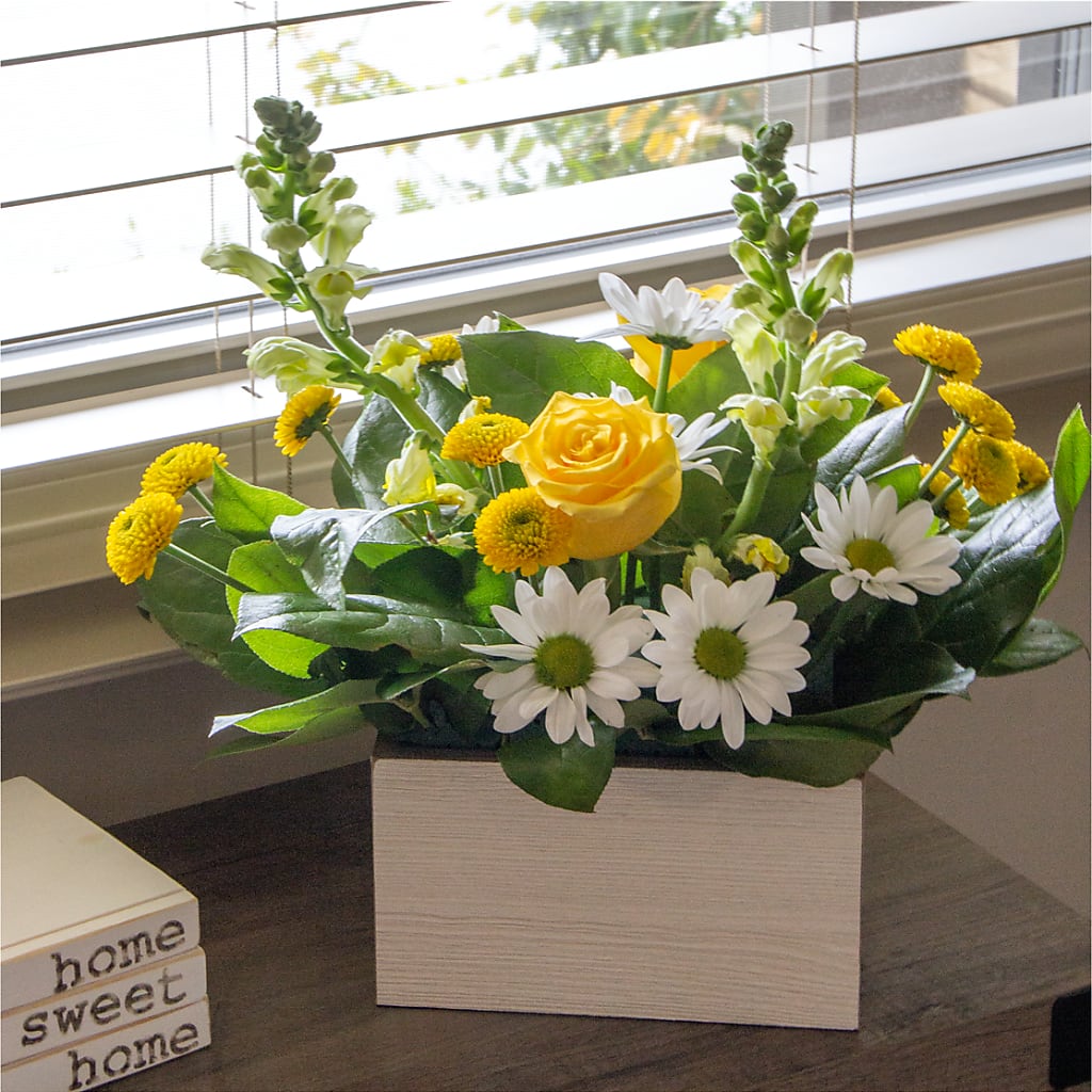 Sun Salutation Box Bouquet –  Lovely Flowers And Gifts, Islip Terrace NY