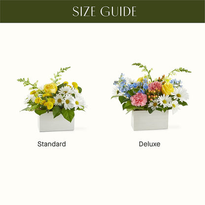 Sun Salutation Box Bouquet –  Lovely Flowers And Gifts, Islip Terrace NY