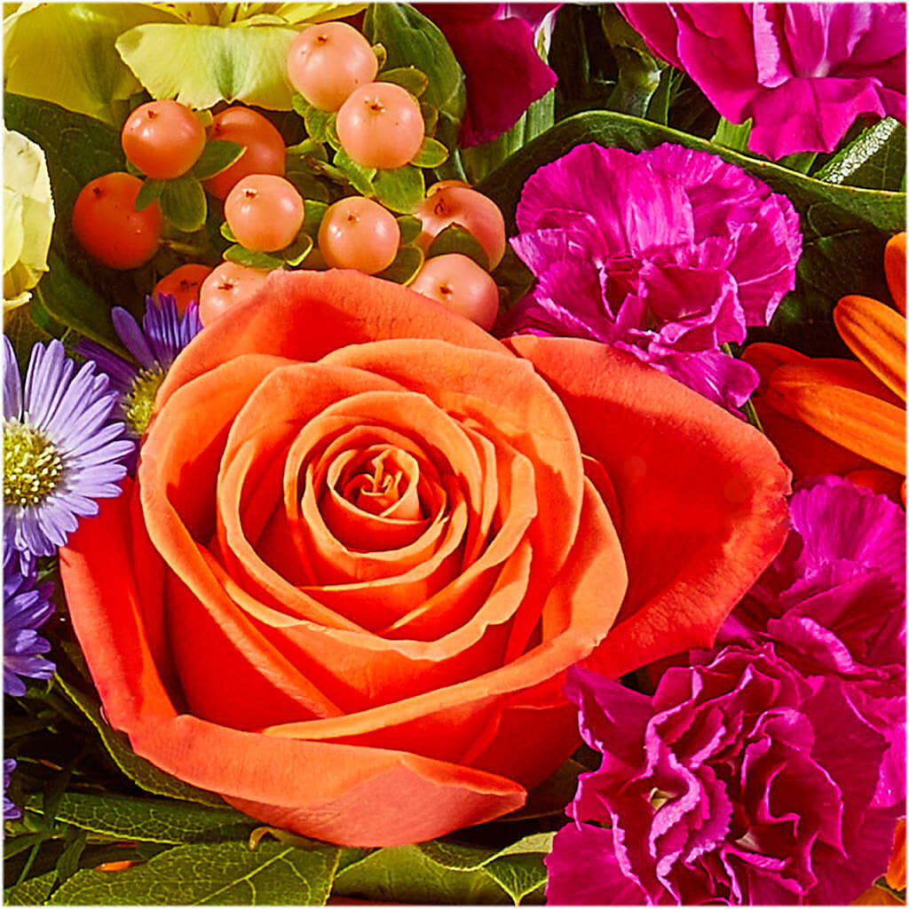 Tricks & Treats Pumpkin –  Lovely Flowers And Gifts, Islip Terrace NY