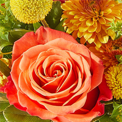 Gourdgeous Pumpkin –  Lovely Flowers And Gifts, Islip Terrace NY