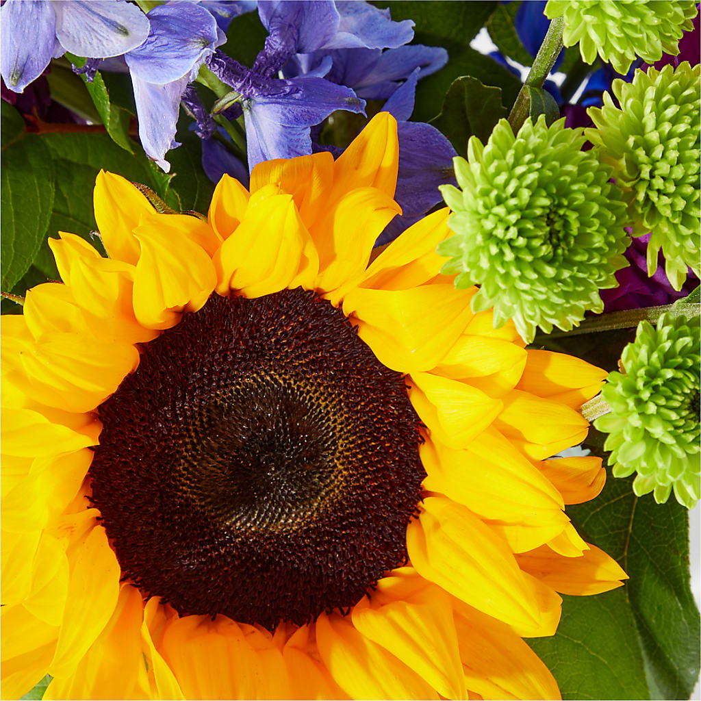 Catching Rays Bouquet –  Lovely Flowers And Gifts, Islip Terrace NY