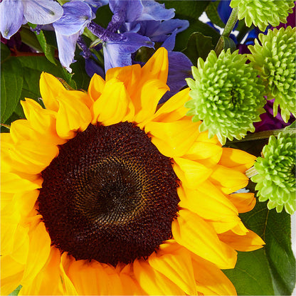 Catching Rays Bouquet –  Lovely Flowers And Gifts, Islip Terrace NY