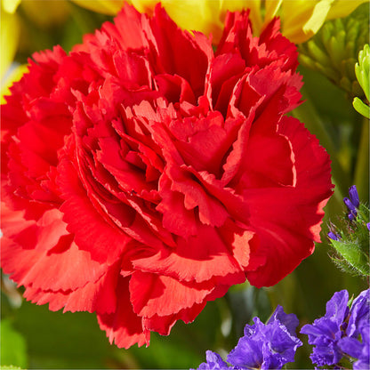 Brighter Days Bouquet –  Lovely Flowers And Gifts, Islip Terrace NY