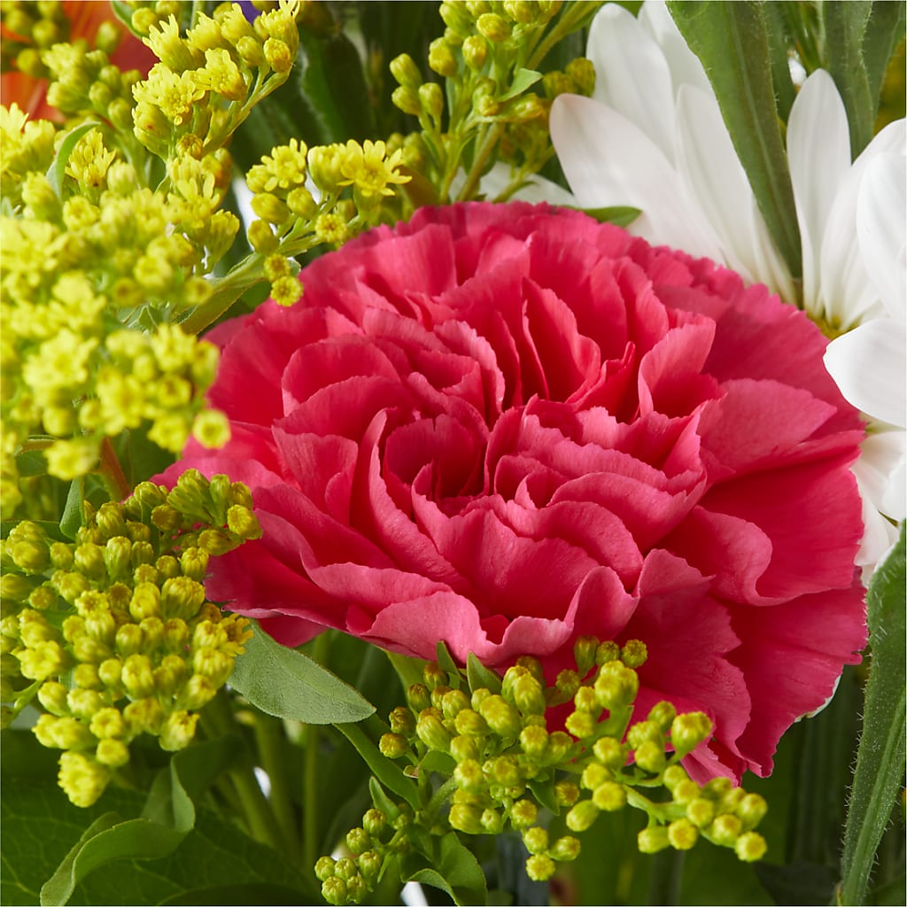 Oopsie Daisy Bouquet –  Lovely Flowers And Gifts, Islip Terrace NY