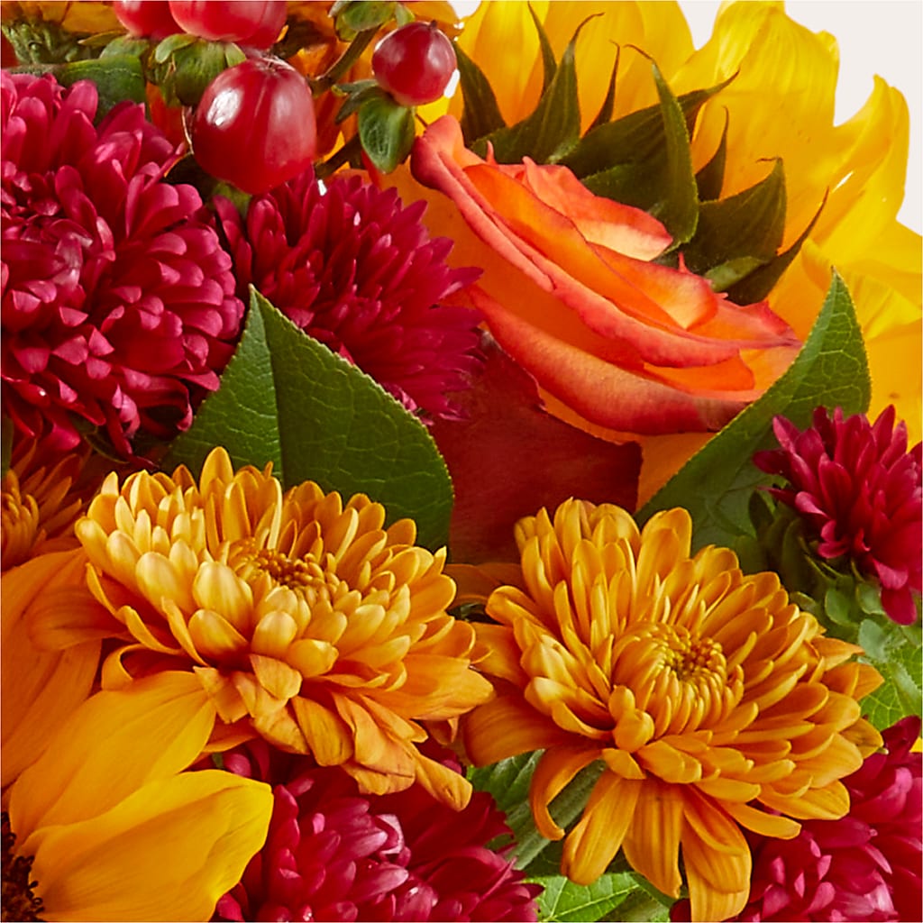 Sweater Season - A Florist Original –  Lovely Flowers And Gifts, Islip Terrace NY