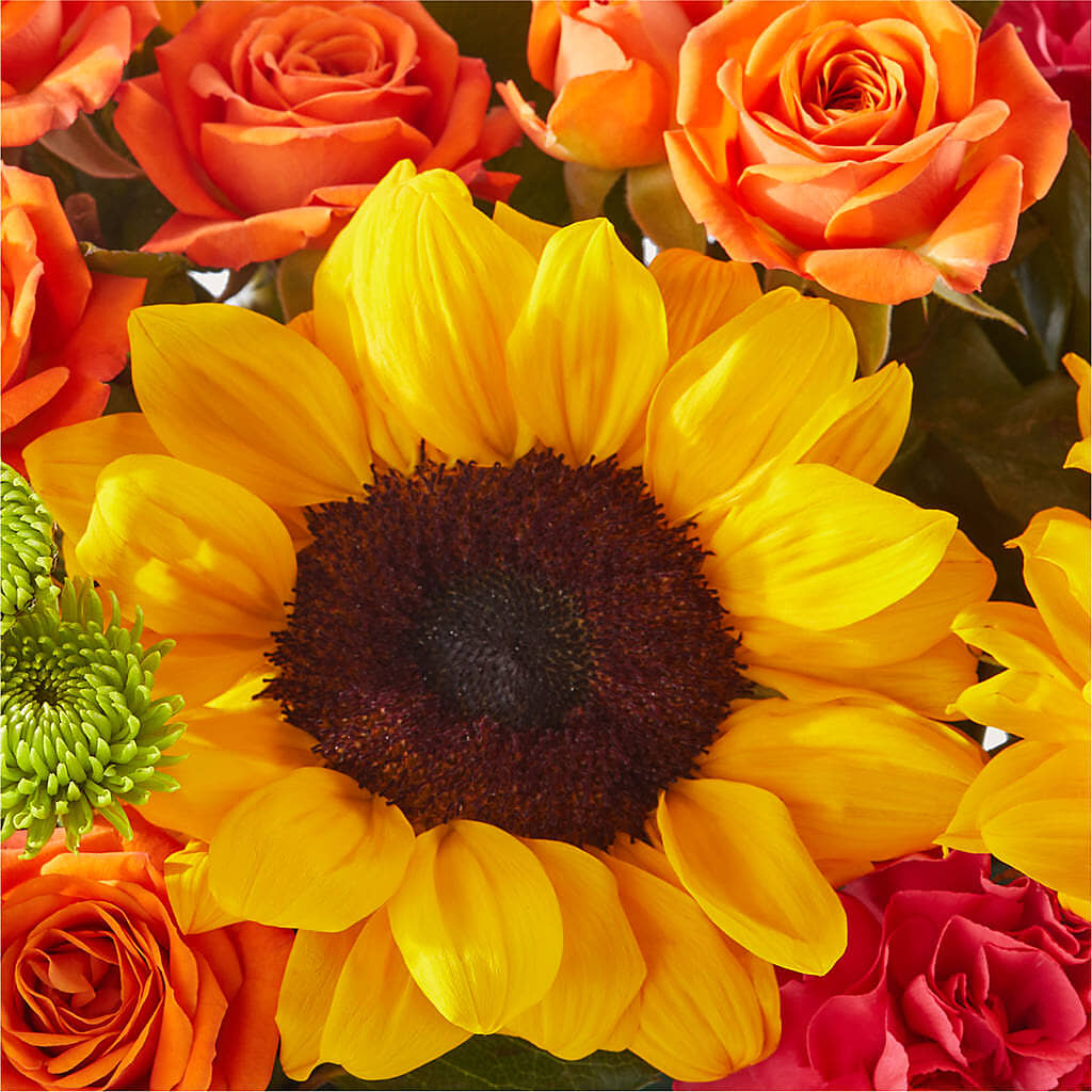 Sun-drenched Blooms Box Bouquet –  Lovely Flowers And Gifts, Islip Terrace NY