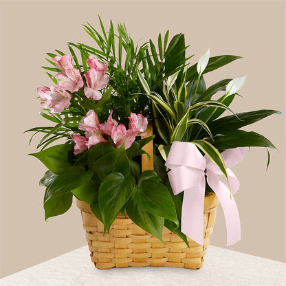 Living Spirit Dishgarden –  Lovely Flowers And Gifts, Islip Terrace NY