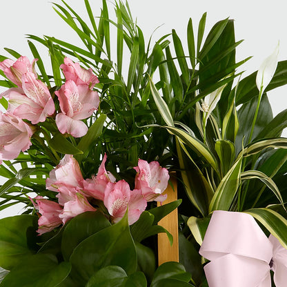 Living Spirit Dishgarden –  Lovely Flowers And Gifts, Islip Terrace NY