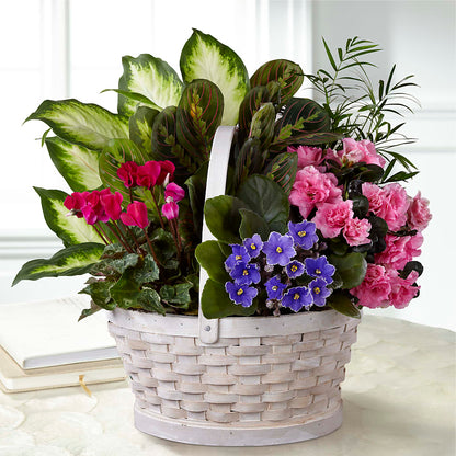 Peaceful Garden Planter –  Lovely Flowers And Gifts, Islip Terrace NY