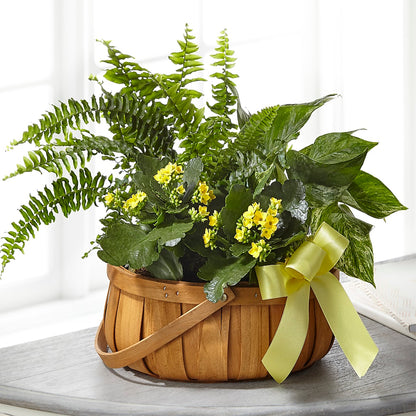 Always Dear Dishgarden –  Lovely Flowers And Gifts, Islip Terrace NY