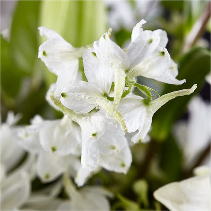 Classic Ivory – A Florist Original –  Lovely Flowers And Gifts, Islip Terrace NY