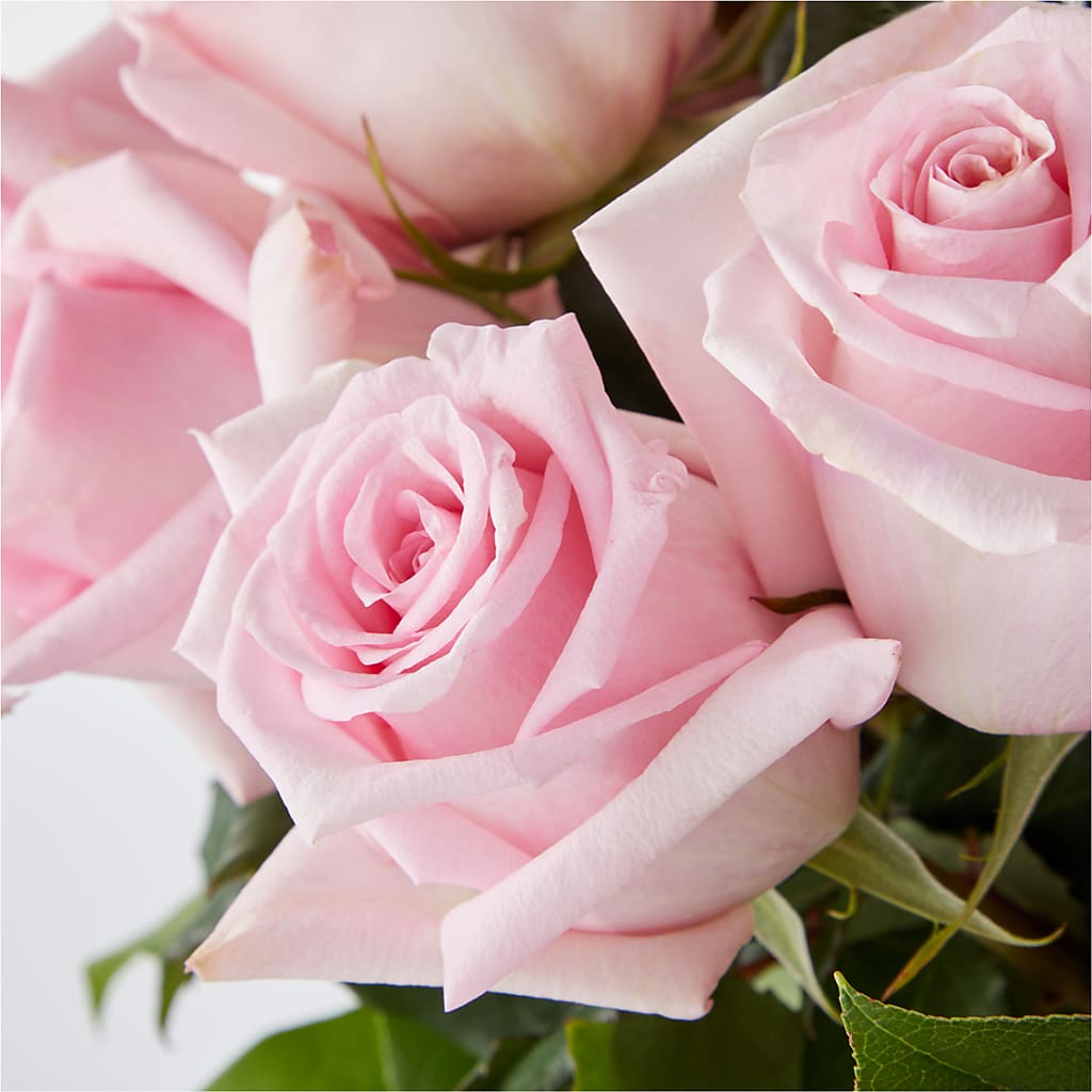 Picture Perfect Pink Rose Bouquet –  Lovely Flowers And Gifts, Islip Terrace NY