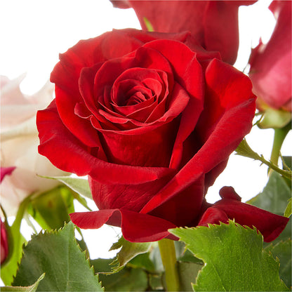 Love Notes Rose Bouquet –  Lovely Flowers And Gifts, Islip Terrace NY