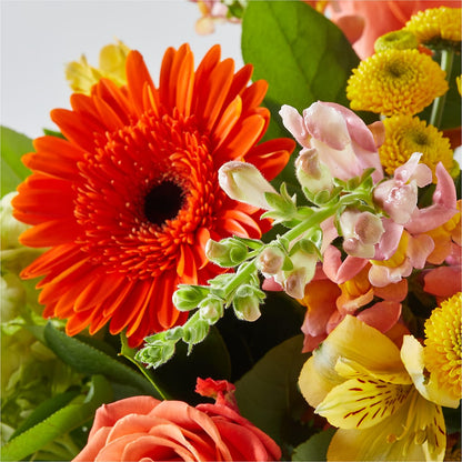 Autumn Sunshine Bouquet –  Lovely Flowers And Gifts, Islip Terrace NY