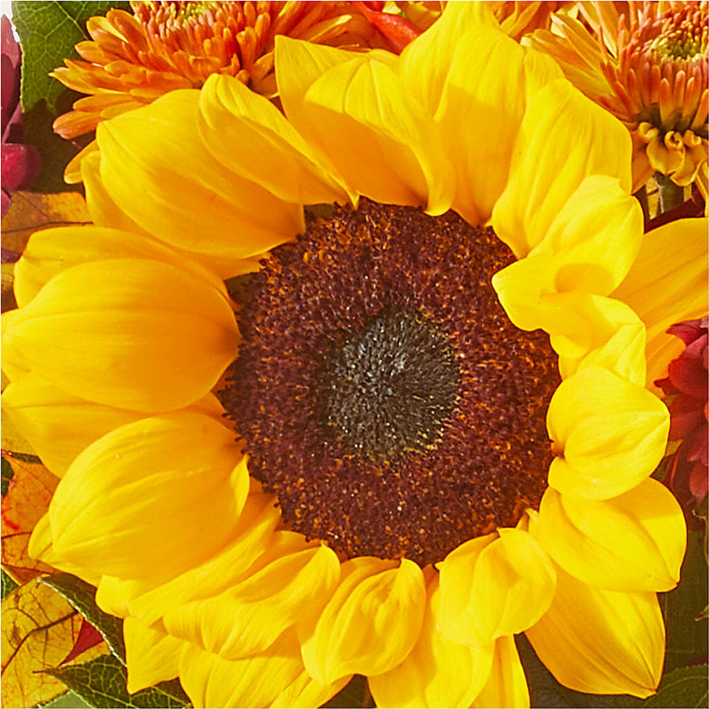 Sunny Side Bouquet –  Lovely Flowers And Gifts, Islip Terrace NY