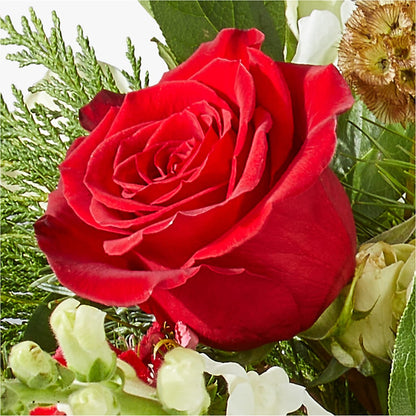 Deck the Halls Bouquet –  Lovely Flowers And Gifts, Islip Terrace NY