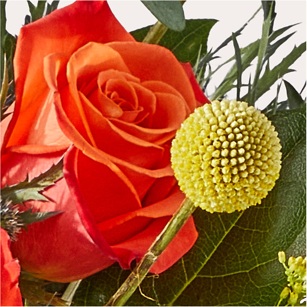 Disco Bouquet –  Lovely Flowers And Gifts, Islip Terrace NY