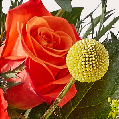 Disco Bouquet –  Lovely Flowers And Gifts, Islip Terrace NY