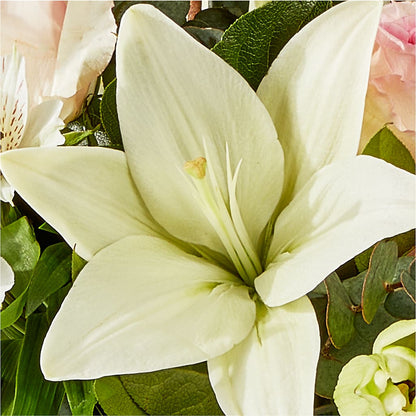 Ballet Slippers Bouquet –  Lovely Flowers And Gifts, Islip Terrace NY