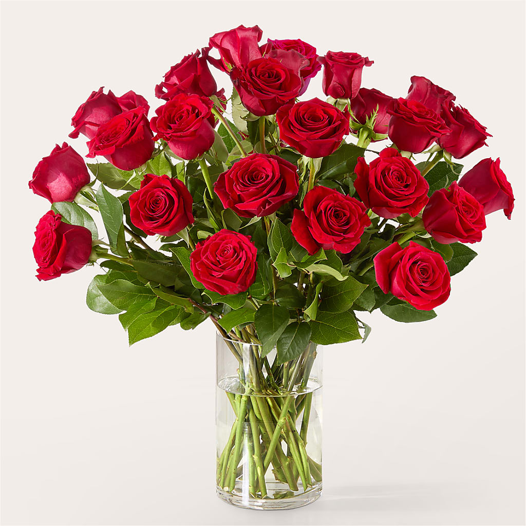 The One Red Rose Bouquet –  Lovely Flowers And Gifts, Islip Terrace NY