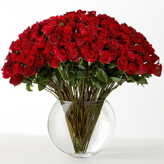The Idealist –  Lovely Flowers And Gifts, Islip Terrace NY
