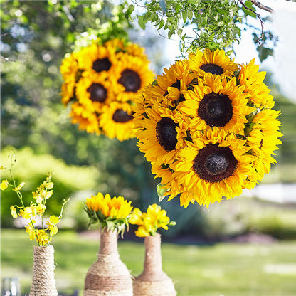 Sublime Garden Hanging Arrangement –  Lovely Flowers And Gifts, Islip Terrace NY