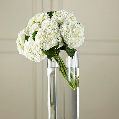 White Hydrangea Hand-Tied Bouquet –  Lovely Flowers And Gifts, Islip Terrace NY