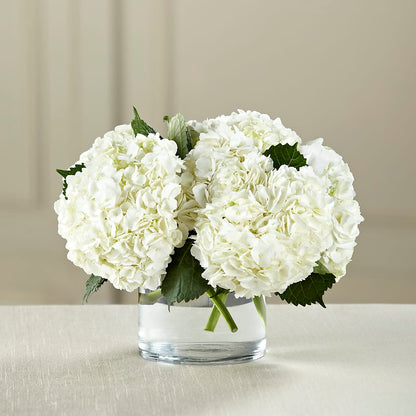 White Hydrangea Bouquet –  Lovely Flowers And Gifts, Islip Terrace NY