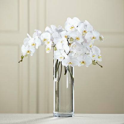 White Phalaenopsis Bouquet –  Lovely Flowers And Gifts, Islip Terrace NY